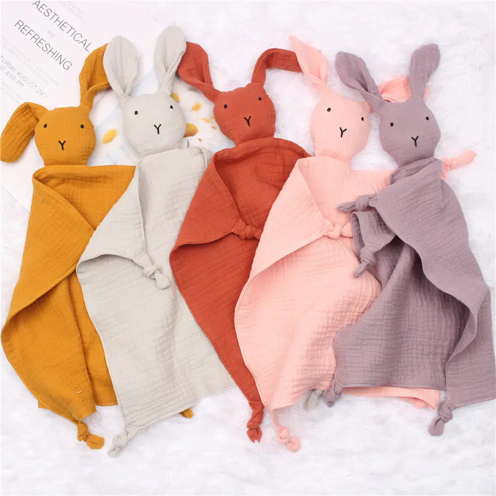 Clothing and Comforters