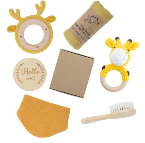 Montessori Baby Toy Gift Set