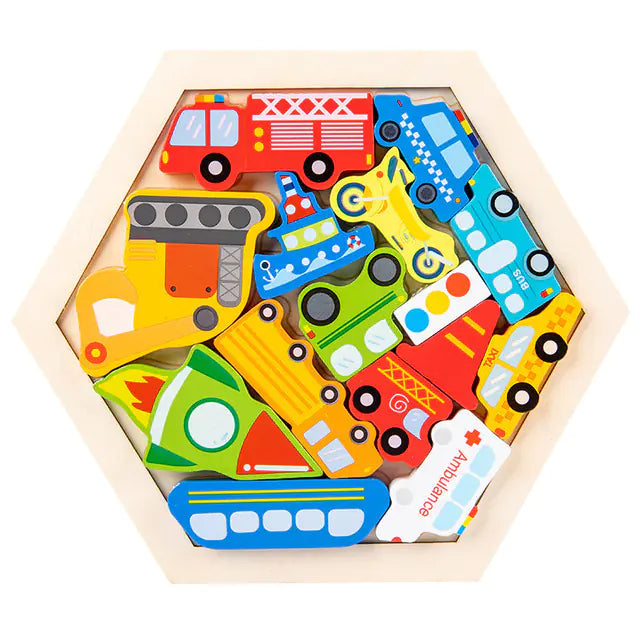 Montessori 3D Wooden Puzzle