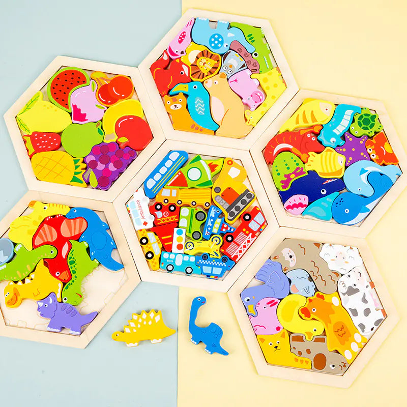 Montessori 3D Wooden Puzzle