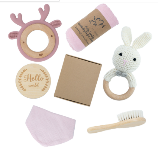 Montessori Baby Toy Gift Set