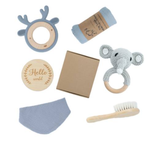 Montessori Baby Toy Gift Set