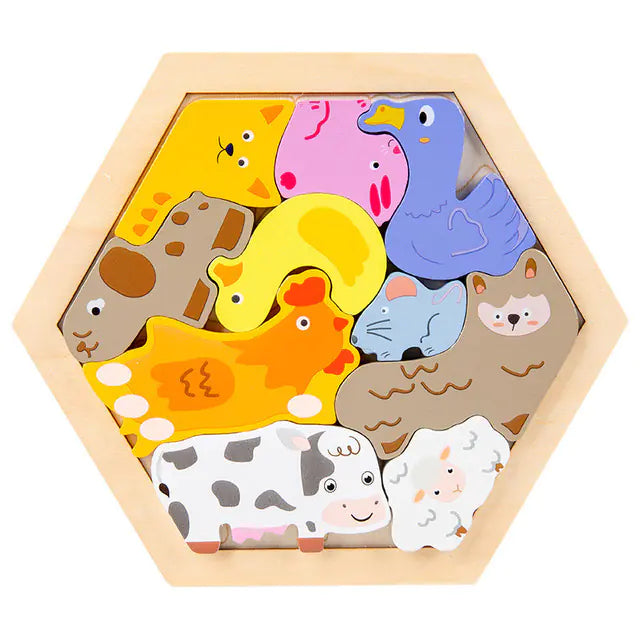 Montessori 3D Wooden Puzzle