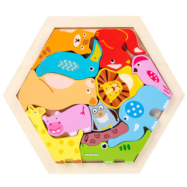 Montessori 3D Wooden Puzzle