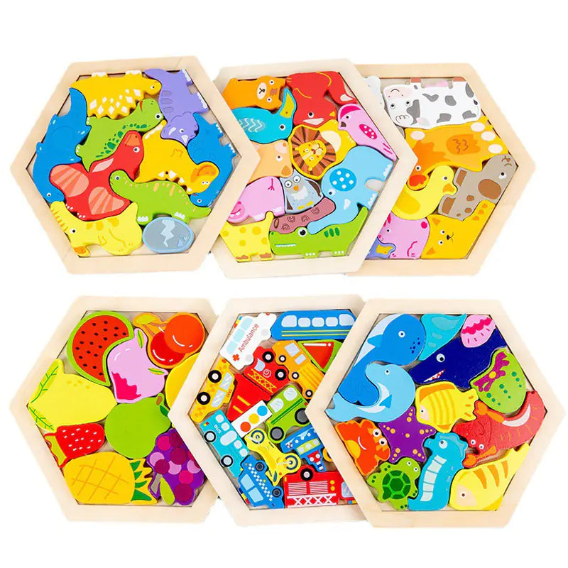 Montessori 3D Wooden Puzzle